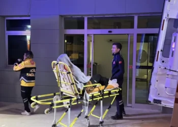 Toplu Gıda Zehirlenmesi Uyarıyor: Riskli Ortamlar ve Korunma Yolları