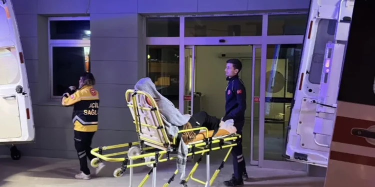 Toplu Gıda Zehirlenmesi Uyarıyor: Riskli Ortamlar ve Korunma Yolları