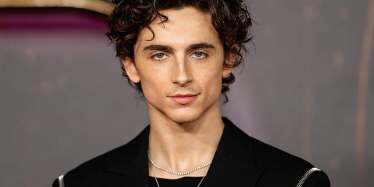 Timothée Chalamet’den Paris Gecelerinde Yeni İlişki İddiası