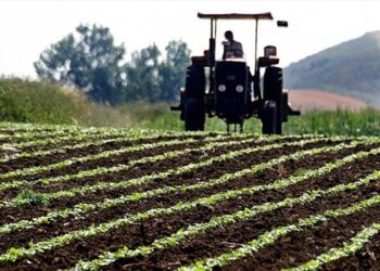 Kırsal Kalkınma Hamlesi: Tarımda Yeni Kredi Modeli ve Üretim Sırrı