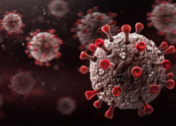 İngiltere’de yeni Maymun çiçeği varyantı: Okullarda Alarm