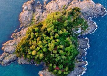 Giresun Adası Turizme Açılıyor: Doğu Karadeniz’in Yeni Cazibe Merkezi