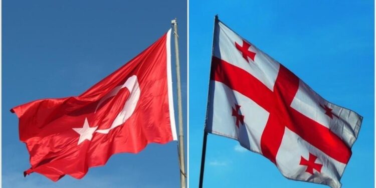 Gürcistan Sağlık Sigortası Maliyeti Bütçeyi Nasıl Etkileyecek? Yeni Dönem Fiyatları