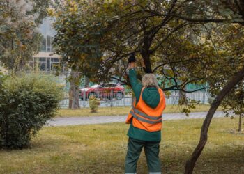 Yeşil alanda ağaç budama kıyafeti giymiş görevli çalışan kadın.