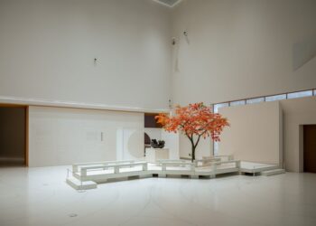 Minimalist beyaz sergi salonunda sonbahar yapraklı ağaç yer alıyor.